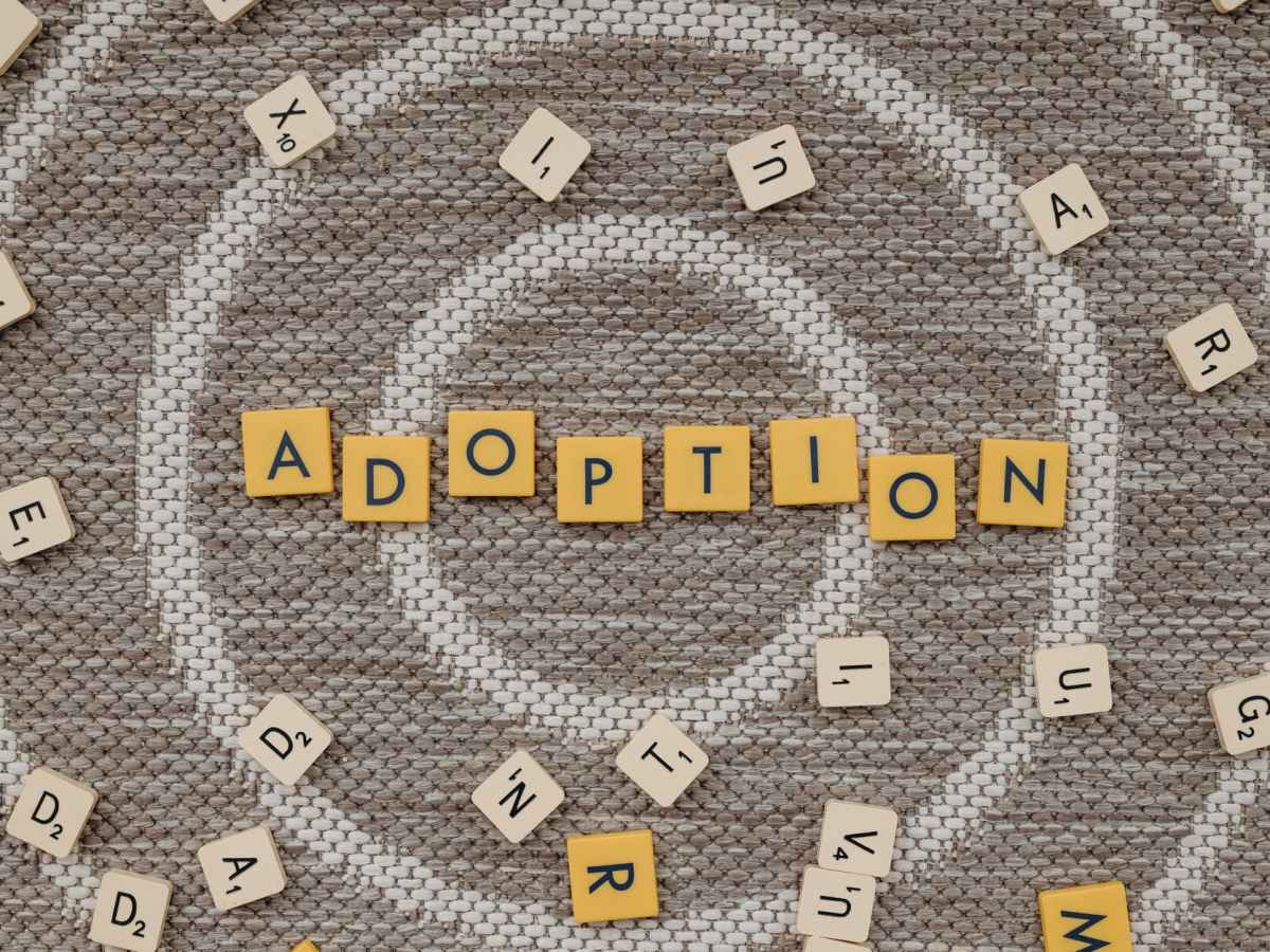 Adoption and Conferences: A Caregiving Perspective
